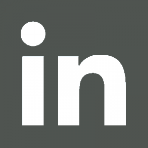 Logo LinkedIN