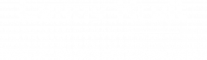 Logo Lenny Kruit wit